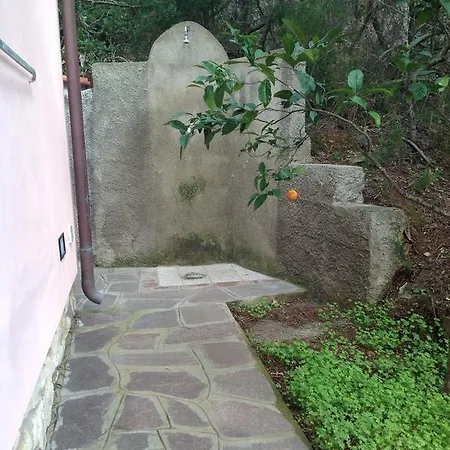 Mirella Tatil Evi *